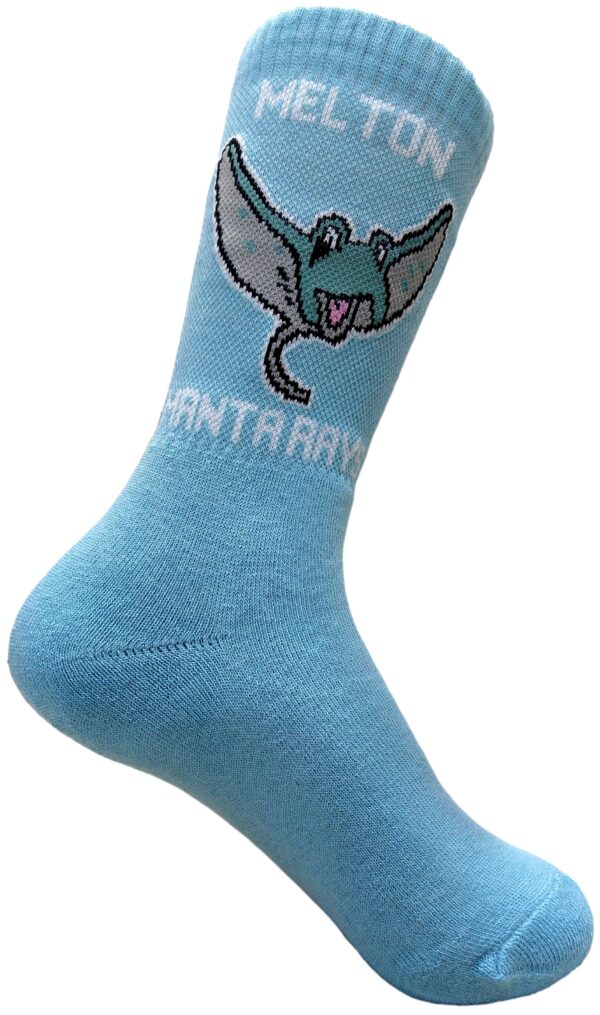 Spirit Socks